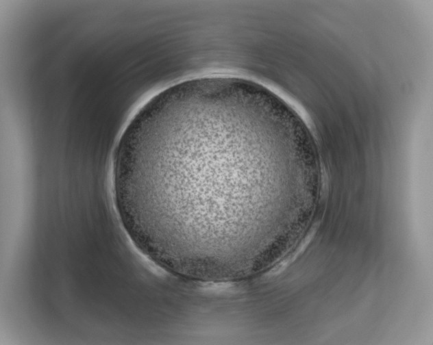 X0000111051006200907021616