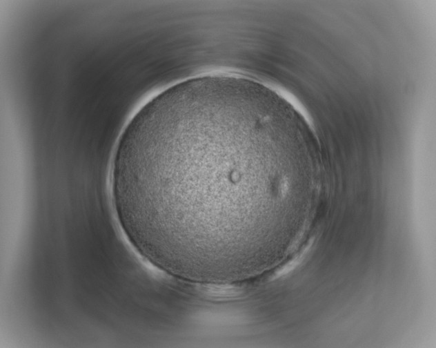 X0000111051007200907021616