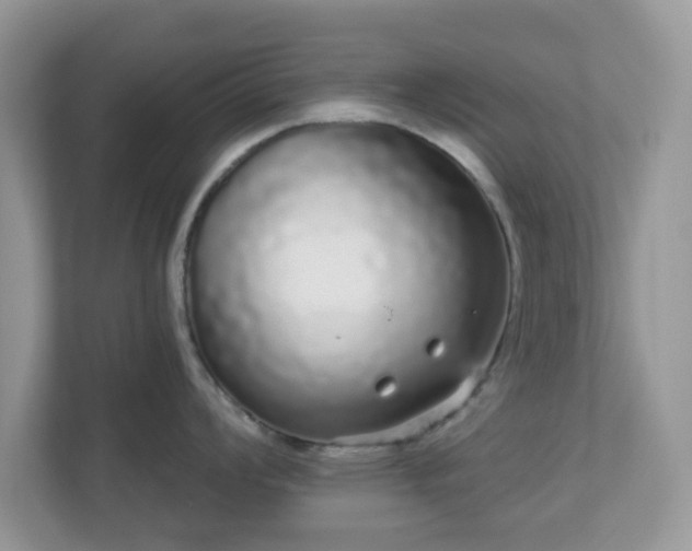 X0000111051008200907021616