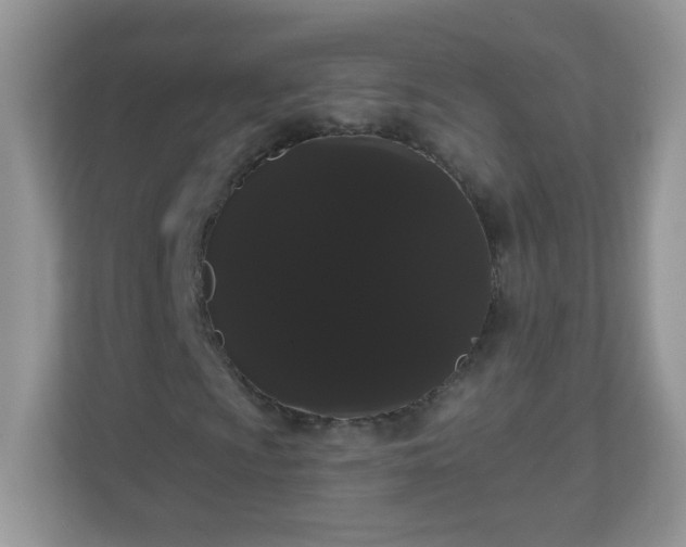 X0000111051009200907021615