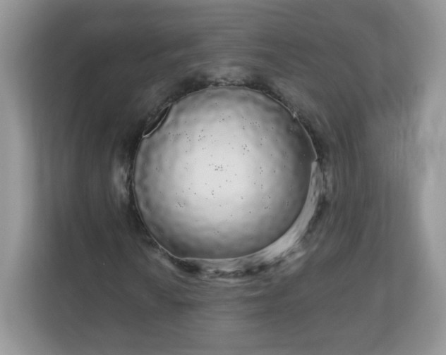 X0000111051010200907021615