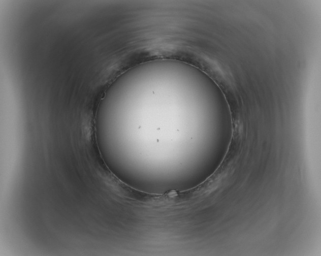 X0000111051012200907021615