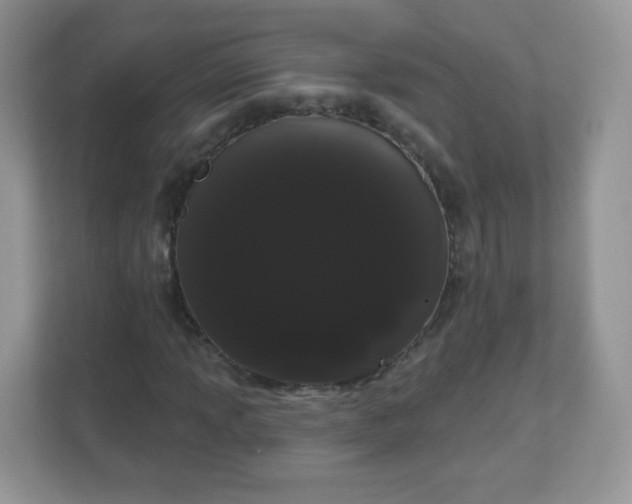 X0000111051013200907021615