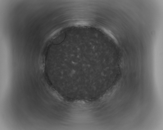 X0000111051015200907021615