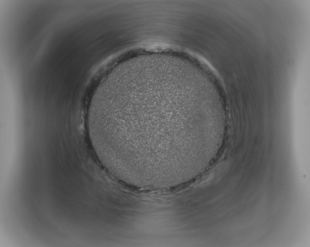 X0000111051016200907021615