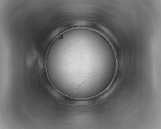 X0000111051017200907021615