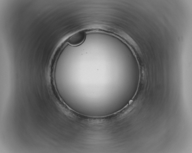 X0000111051020200907021615