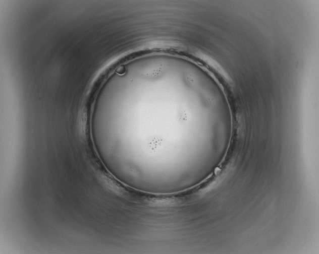 X0000111051021200907021615