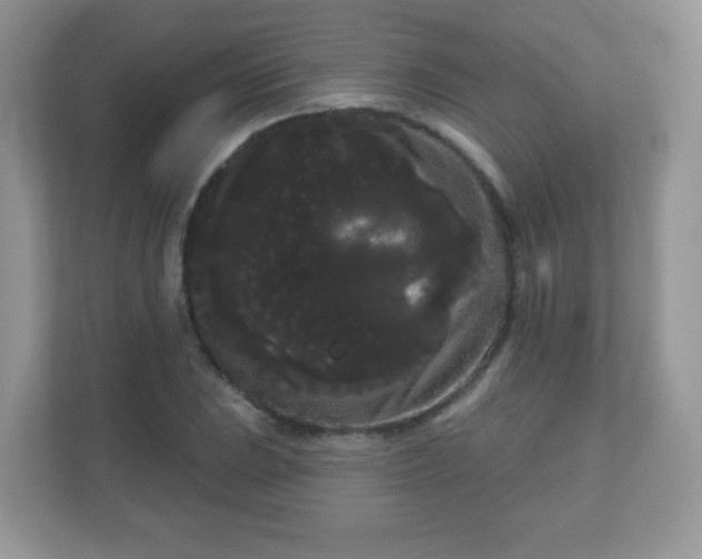 X0000111051023200907021615