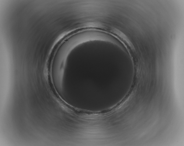 X0000111051024200907021615