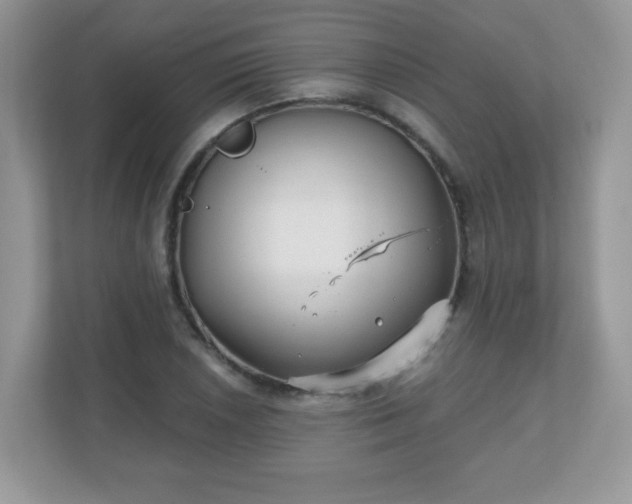 X0000111051026200907021615