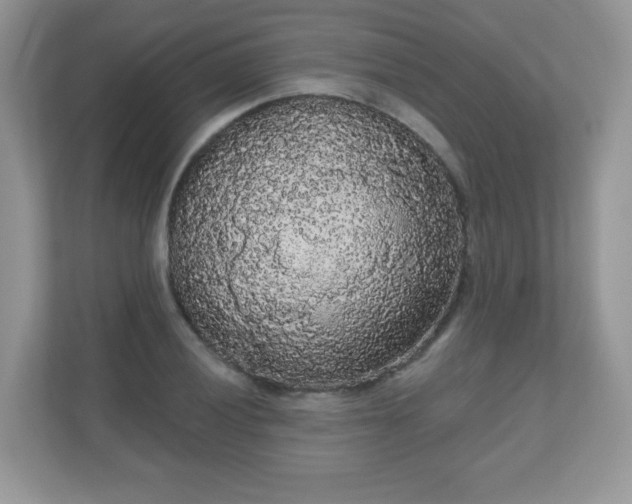 X0000111051028200907021615