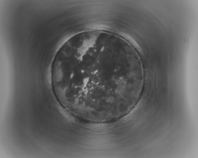 X0000111051031200907021615