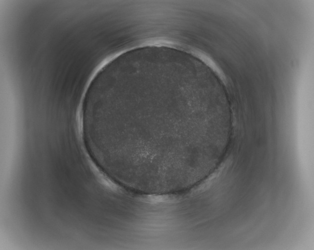 X0000111051032200907021615