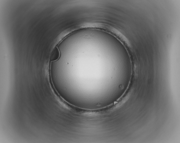 X0000111051033200907021615