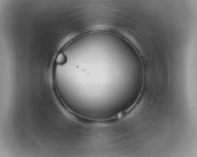 X0000111051034200907021615