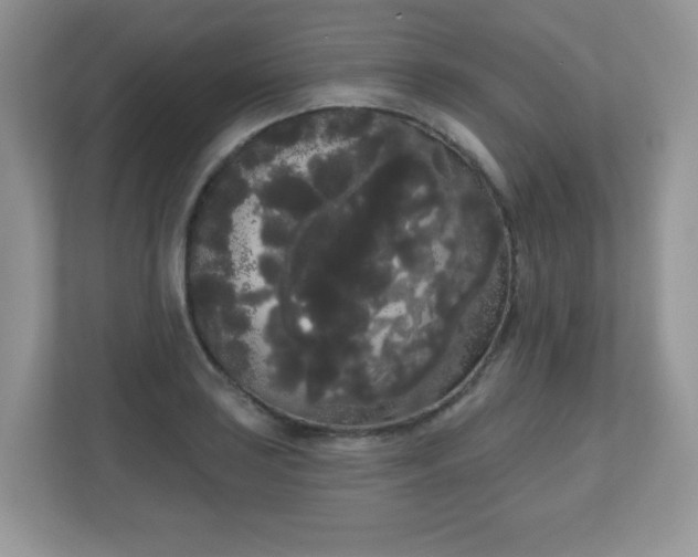 X0000111051035200907021615