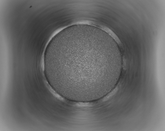 X0000111051036200907021615