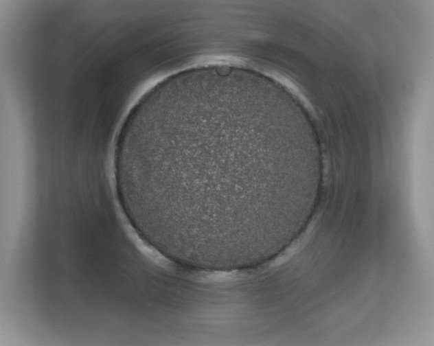 X0000111051038200907021615