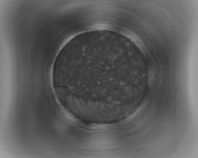 X0000111051039200907021615