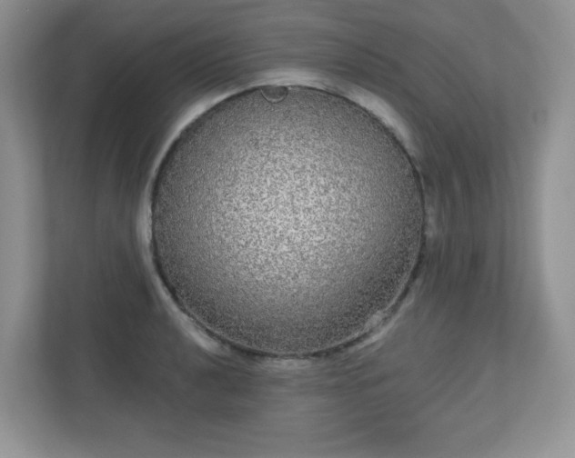 X0000111051040200907021615