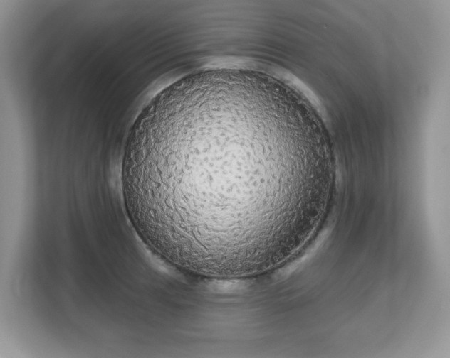 X0000111051041200907021615