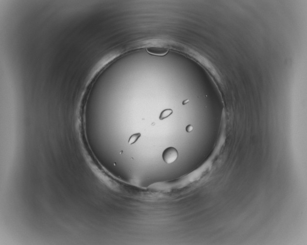 X0000111051042200907021615