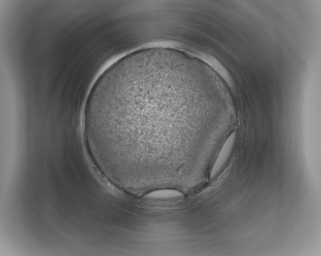 X0000111051044200907021615