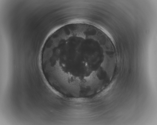 X0000111051045200907021615