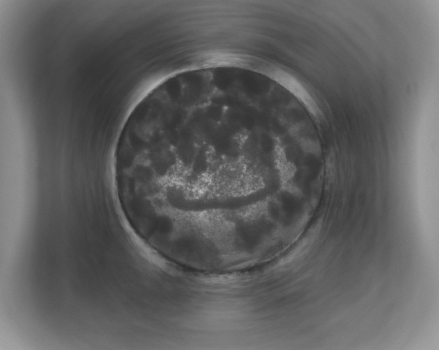 X0000111051047200907021615