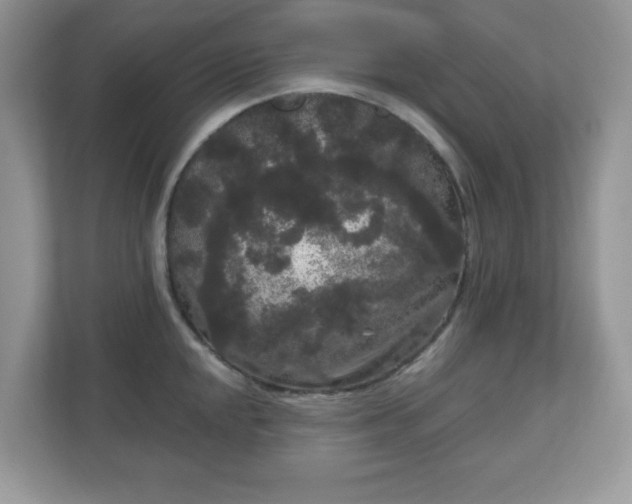 X0000111051048200907021615