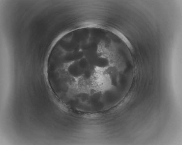 X0000111051051200907021616