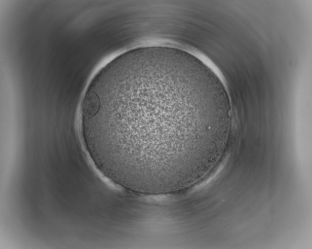 X0000111051053200907021616