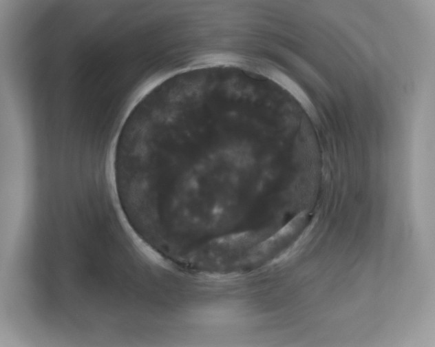 X0000111051055200907021616