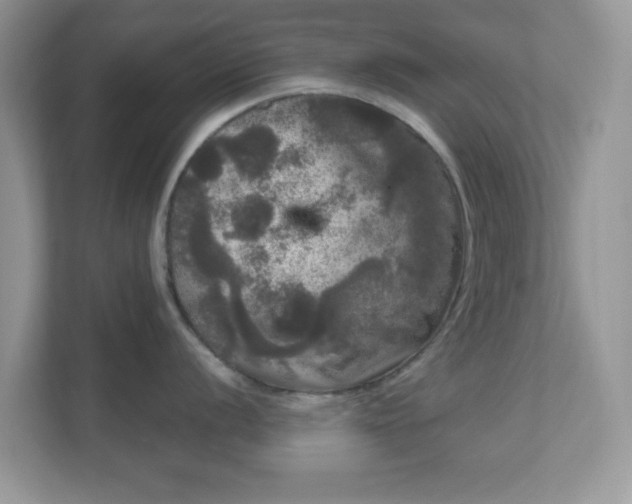 X0000111051056200907021616