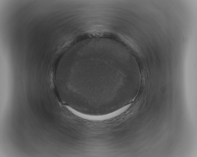 X0000111051060200907021615