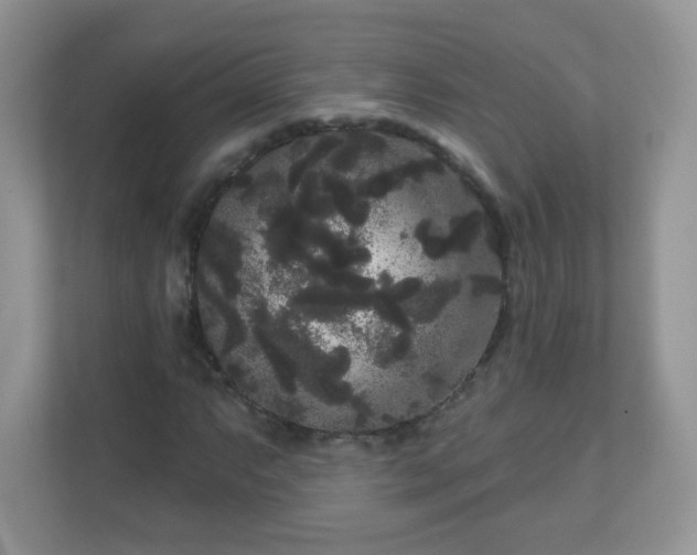 X0000111051063200907021615