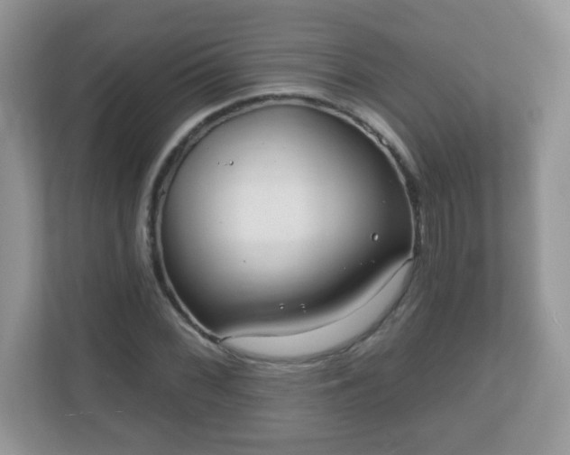 X0000111051068200907021615