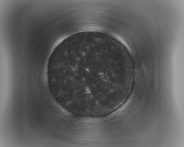 X0000111051071200907021615