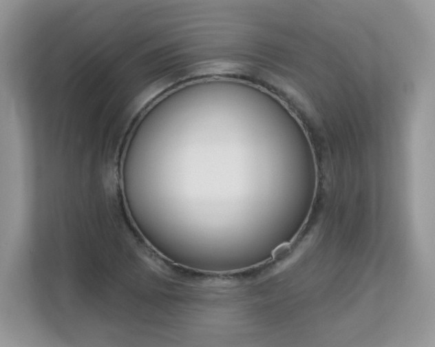 X0000111051073200907021615