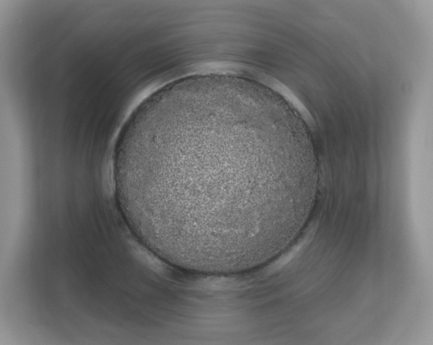 X0000111051075200907021615