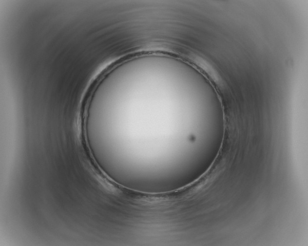 X0000111051076200907021615