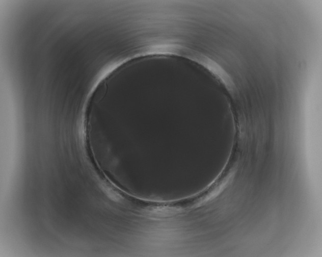 X0000111051077200907021615