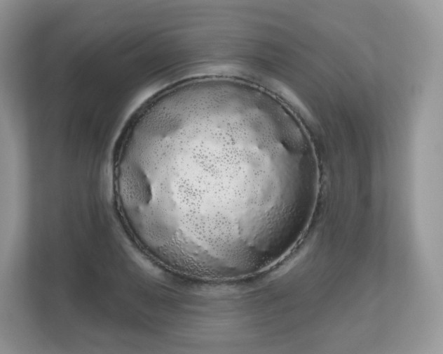 X0000111051079200907021615