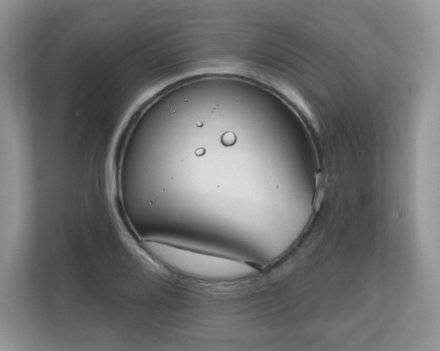 X0000111051080200907021615