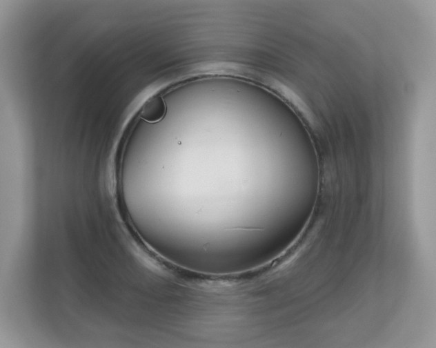 X0000111051082200907021615