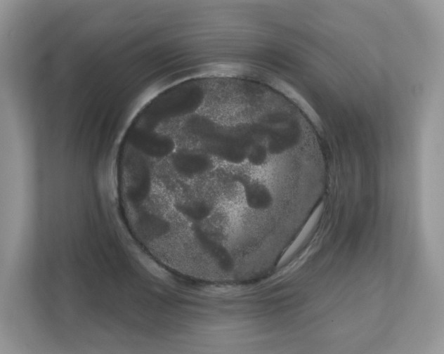 X0000111051083200907021615