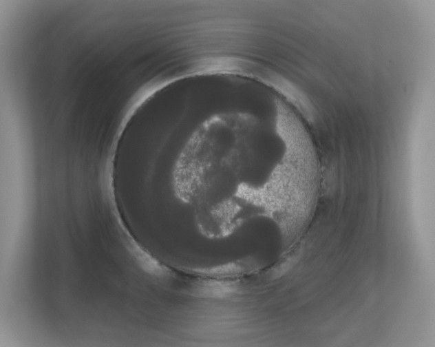 X0000111051086200907021615