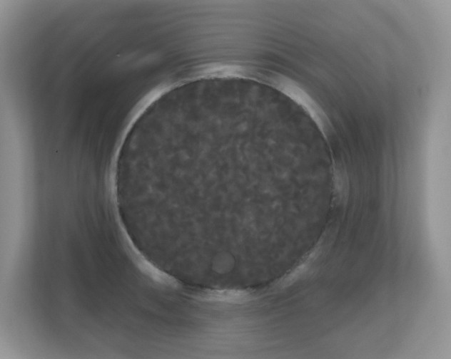 X0000111051090200907021615