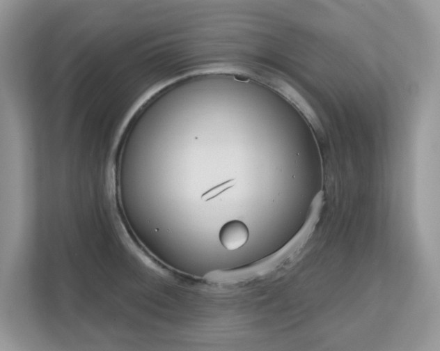 X0000111051092200907021615